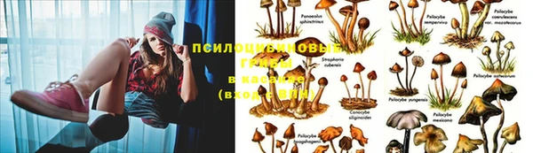 винт Абдулино