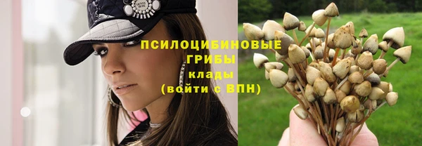 каннабис Абаза
